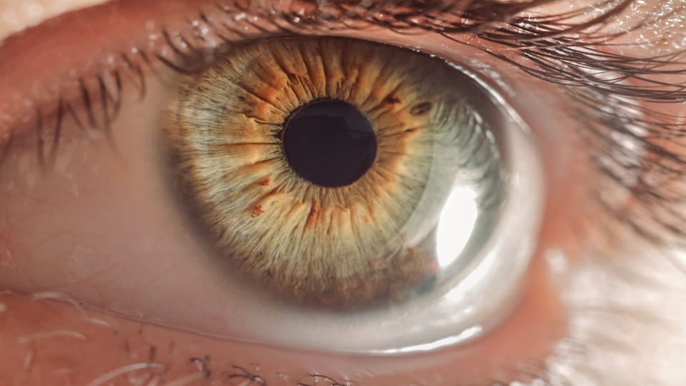 Genetic testing and vision